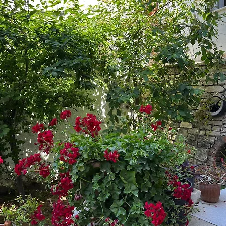 Apartment Deniz Manzarali Muestakil Ev Aybalik Ayvalik