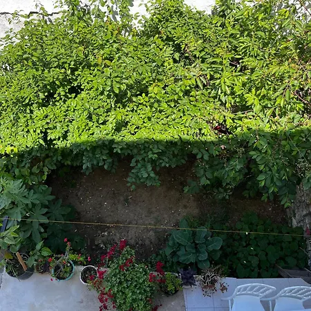 Deniz Manzarali Muestakil Ev Aybalik Apartment Ayvalik
