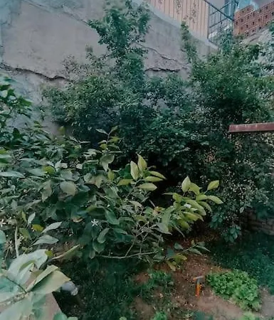 Deniz Manzarali Muestakil Ev Aybalik Apartment